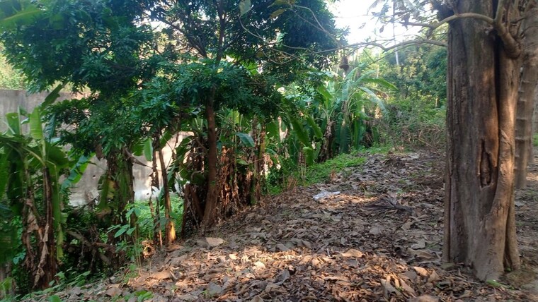 Garden, kumarpara  40000 Sq.Ft. Plot In Kumarpara Kolkata 10220150