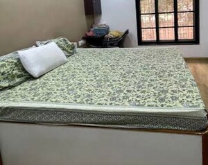  Pg For Rent in Gomti Nagar