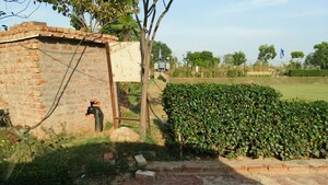  Plot – Garden View at Omaxe City - Omaxe Heights, Sector 97 - for Sale