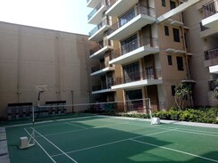 1 BHK Apartment For Rent in Signature Global City 81