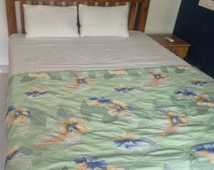  Pg For Rent in Gomti Nagar