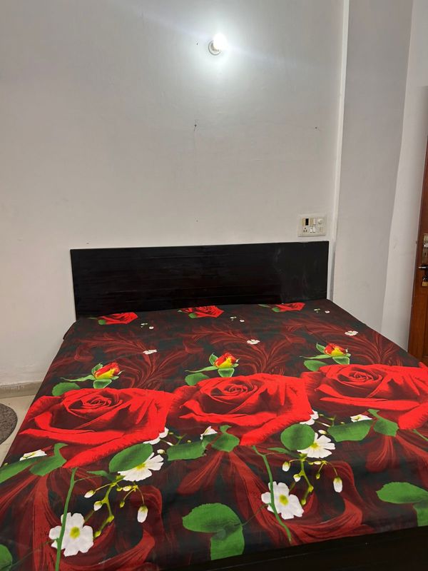 1 BHK Apartment For Rent in Malviya Nagar