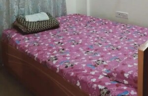  Pg For Rent in Gomti Nagar