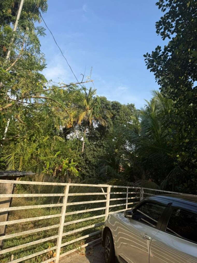 undefined, punkunnam  5009 Sq.Ft. Plot In Punkunnam Thrissur 10234233