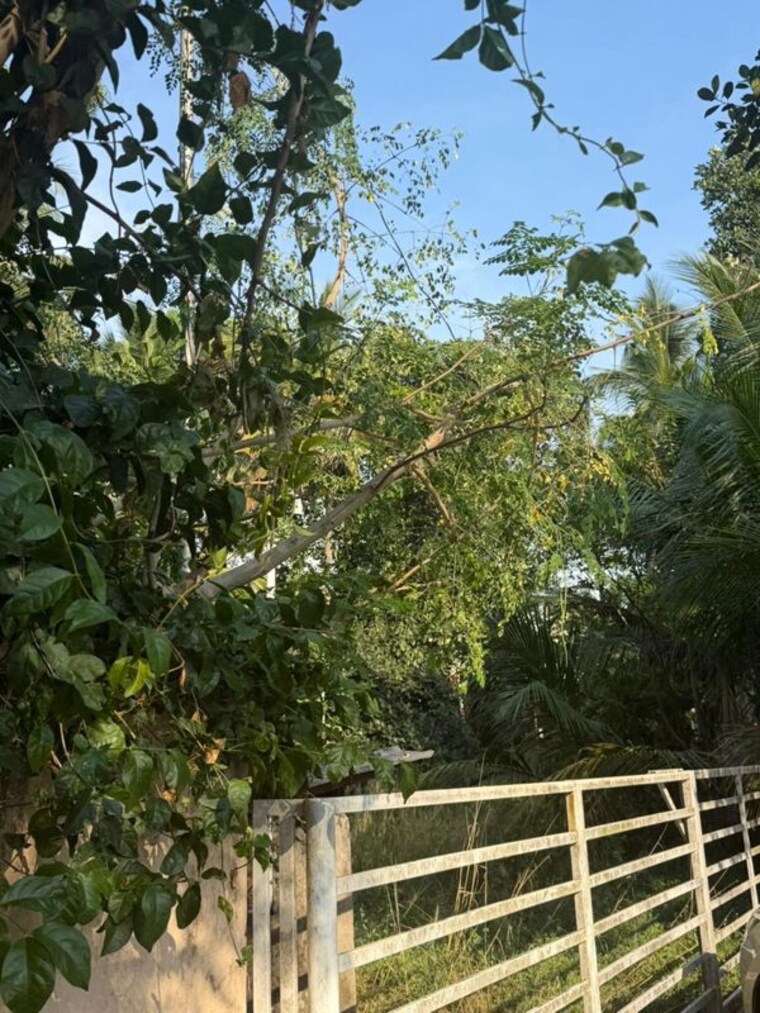 undefined, punkunnam  5009 Sq.Ft. Plot In Punkunnam Thrissur 10234233