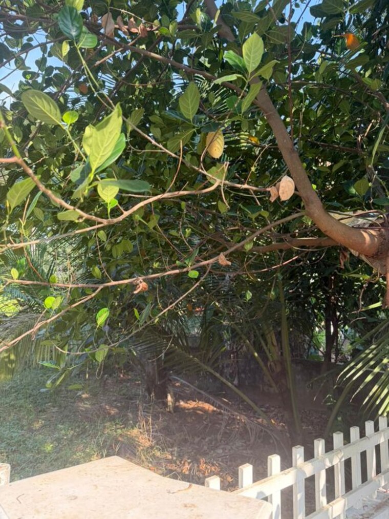 undefined, punkunnam  5009 Sq.Ft. Plot In Punkunnam Thrissur 10234233