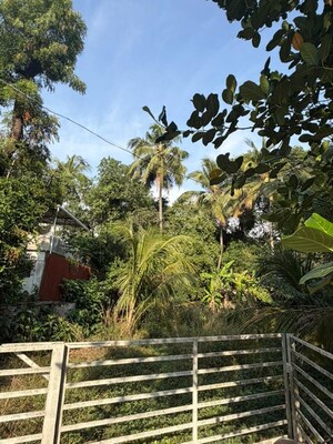 Plot Area in  Plot at Punkunnam – for Sale