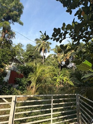 Plot Area in  Plot at Punkunnam – for Sale