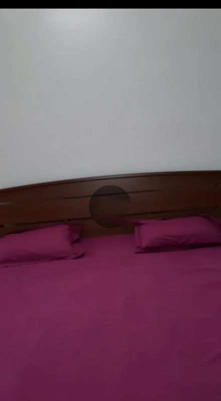4 BHK + Pooja Room,Servant Room,Study Room Apartment For Rent in DLF Westend Heights