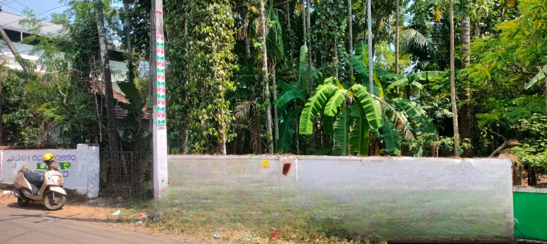 Plot For Sale in Pamboor