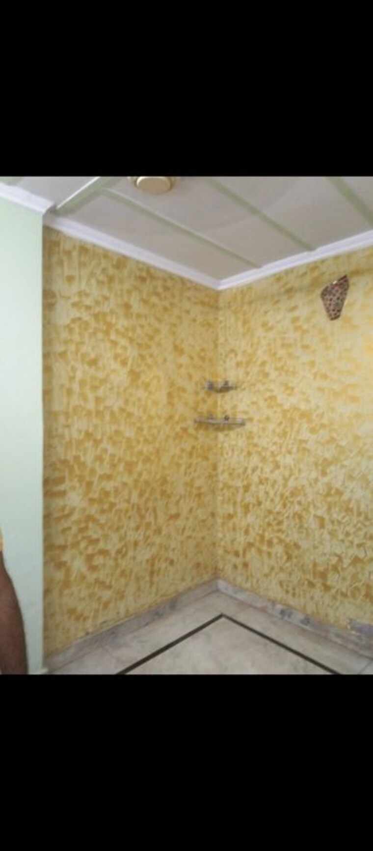 Room, shastri nagar 2 Bedroom 450 Sq.Ft. Builder Floor In Shastri Nagar Delhi 10234298