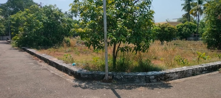 undefined, thalore  2613 Sq.Ft. Plot In Thalore Thrissur 10234313