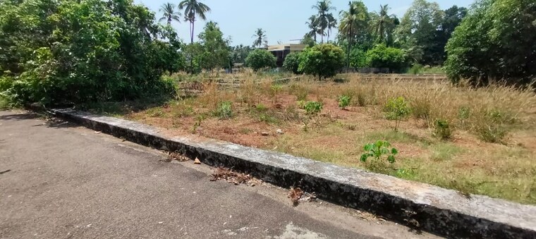 undefined, thalore  2613 Sq.Ft. Plot In Thalore Thrissur 10234313