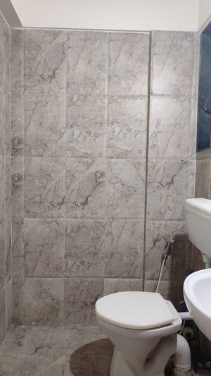 Bathroom in 2 BHK Apartment at DSK Kunjaban, Punawale – for Rent