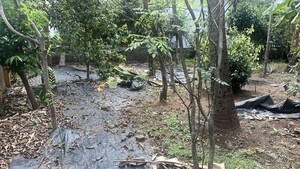 Plot Area in  Plot at Kuttanellur – for Sale