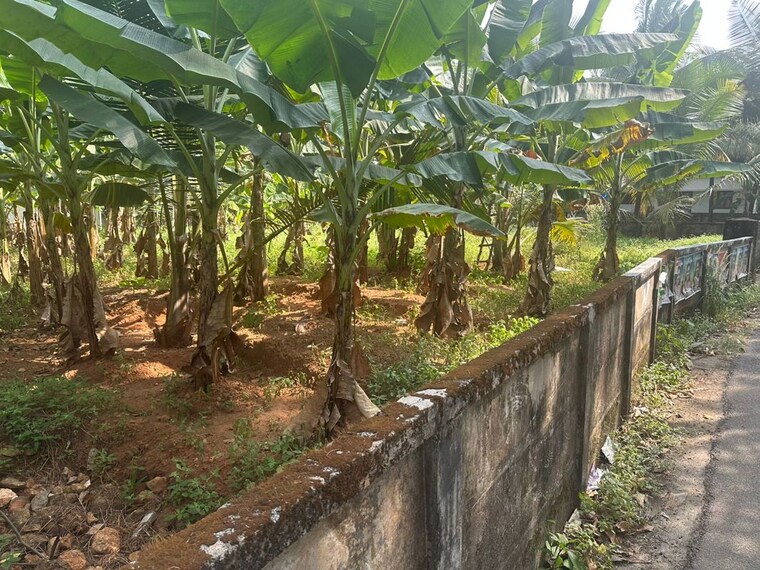 Exterior View, cheroor  3484 Sq.Ft. Plot In Cheroor Thrissur 10234408