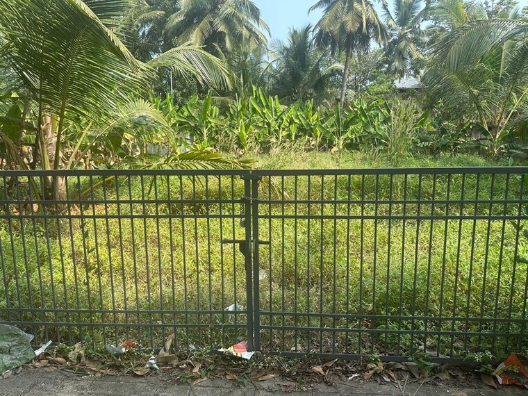 Exterior View, cheroor  3484 Sq.Ft. Plot In Cheroor Thrissur 10234408