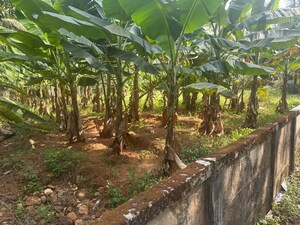  Plot – Exterior View View at Cheroor - for Sale