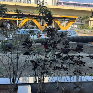  Office Space – Exterior View View at Bramha Sky Uzuri, Pimpri Chinchwad Pcmc - for Sale