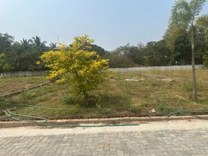 Plot Area in  Plot at Kechery – for Sale