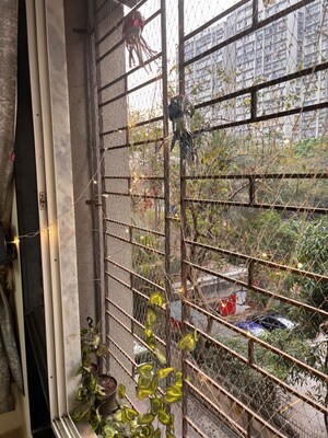 Balcony in 1 BHK Apartment at Lokhandwala Spring Grove, Kandivali East – for Rent