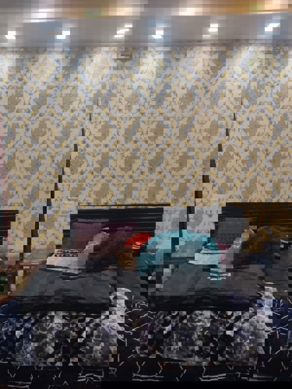 2 BHK + Extra Room 1200 Sq.Ft. Apartment in RWA Apartments Sector 52