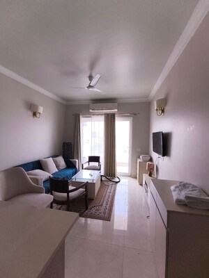 Living Room in 2 BHK Apartment at Central Park Flower Valley, Sohna Sector 33 – for Rent