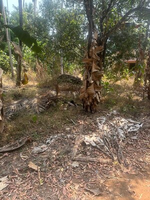 Plot Area in  Plot at Kolazhy – for Sale