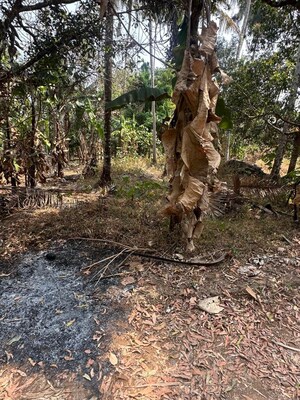  Plot For Sale in Kolazhy