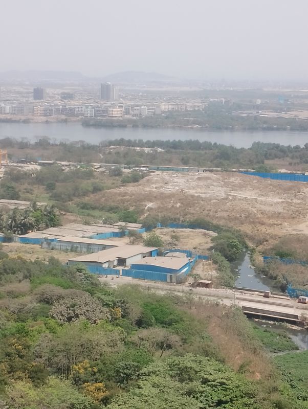 2 BHK 599 Sq.Ft. Apartment in Kalpataru Immensa