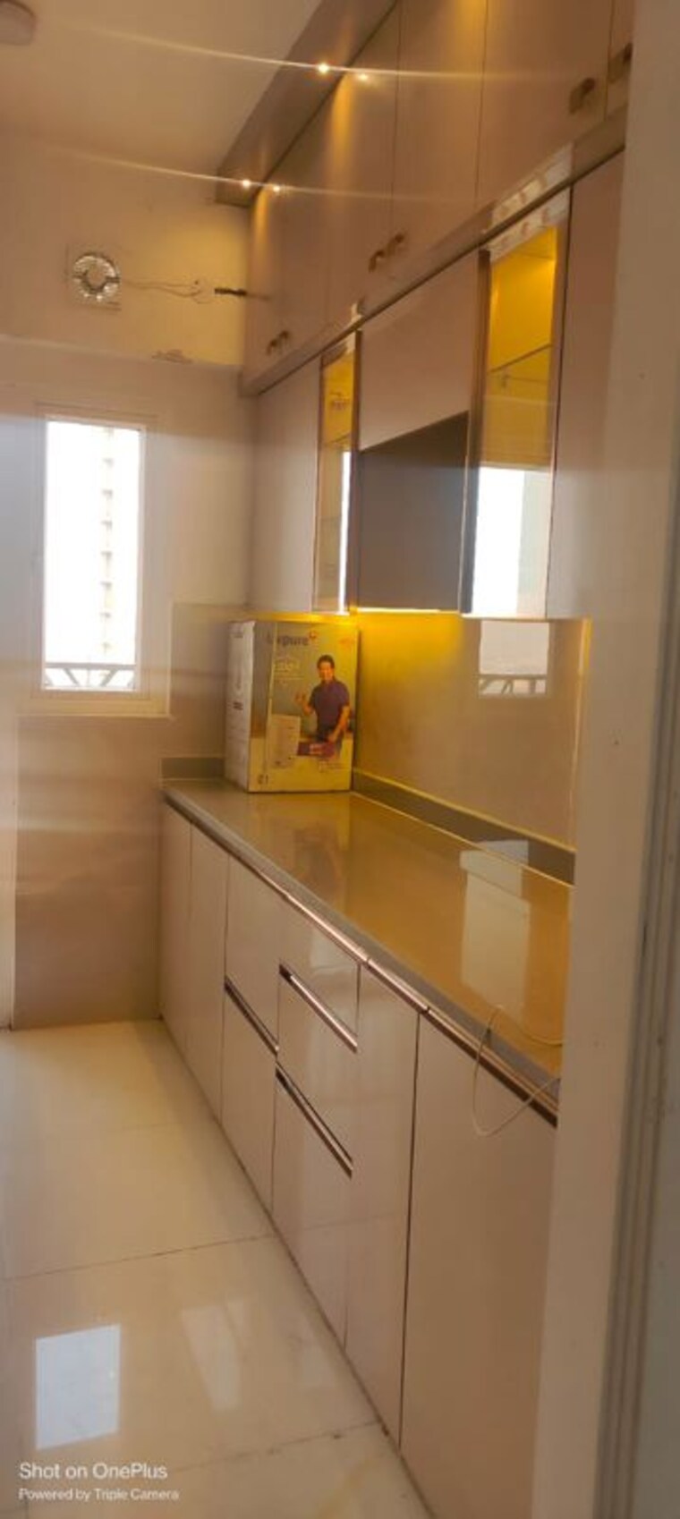 Kitchen, ace-platinum 4 Bedroom 1950 Sq.Ft. Apartment In Zeta I Greater Noida Greater Noida 10234784