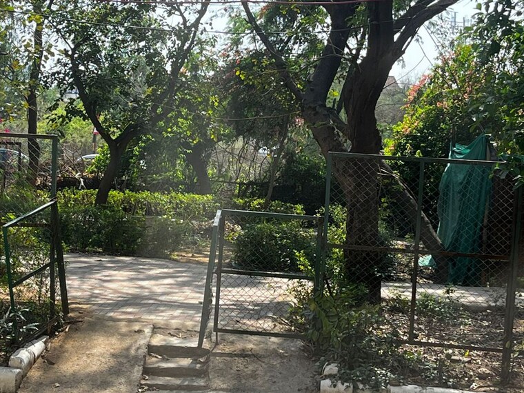 Garden, dlf-atria  850 Sq.Ft. Builder Floor In Dlf Phase ii Gurgaon 10234812