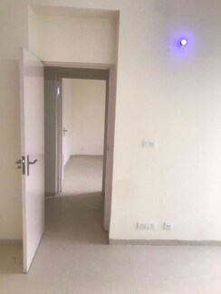 2 BHK + Pooja Room,Servant Room,Study Room,Extra Room,Basement,Store Room Builder Floor For Rent in Vatika India Next Floors