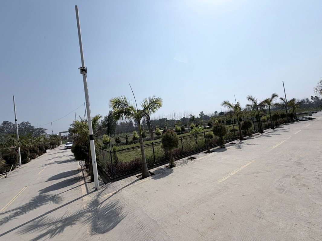 Plot For Sale in Biharigarh