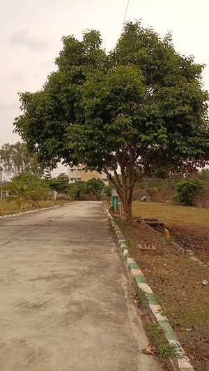 Plot Area in 2 BHK Villa at Himagiri Prashanthi, Jigani – for Sale