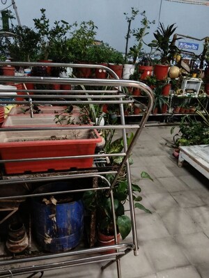 1 RK Apartment – Exterior View View at Gomti Nagar - for Rent