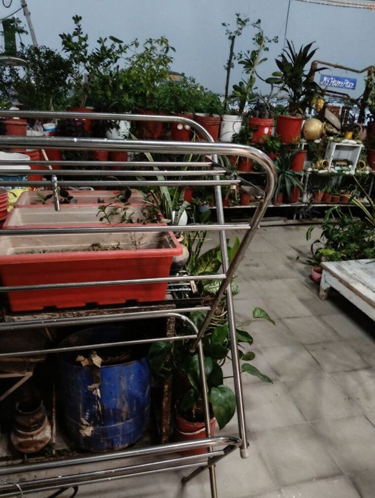 Exterior View, gomti nagar 1 RK 400 Sq.Ft. Apartment In Gomti Nagar Lucknow 10235361