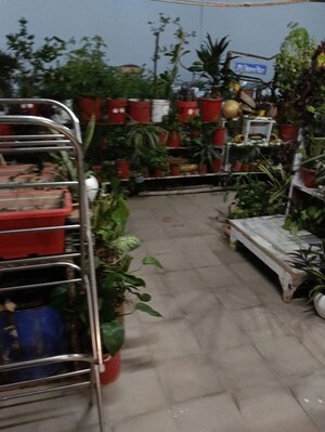 1 RK Apartment – Exterior View View at Gomti Nagar - for Rent