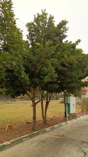  Plot – Garden View at Himagiri Prashanthi, Jigani - for Sale