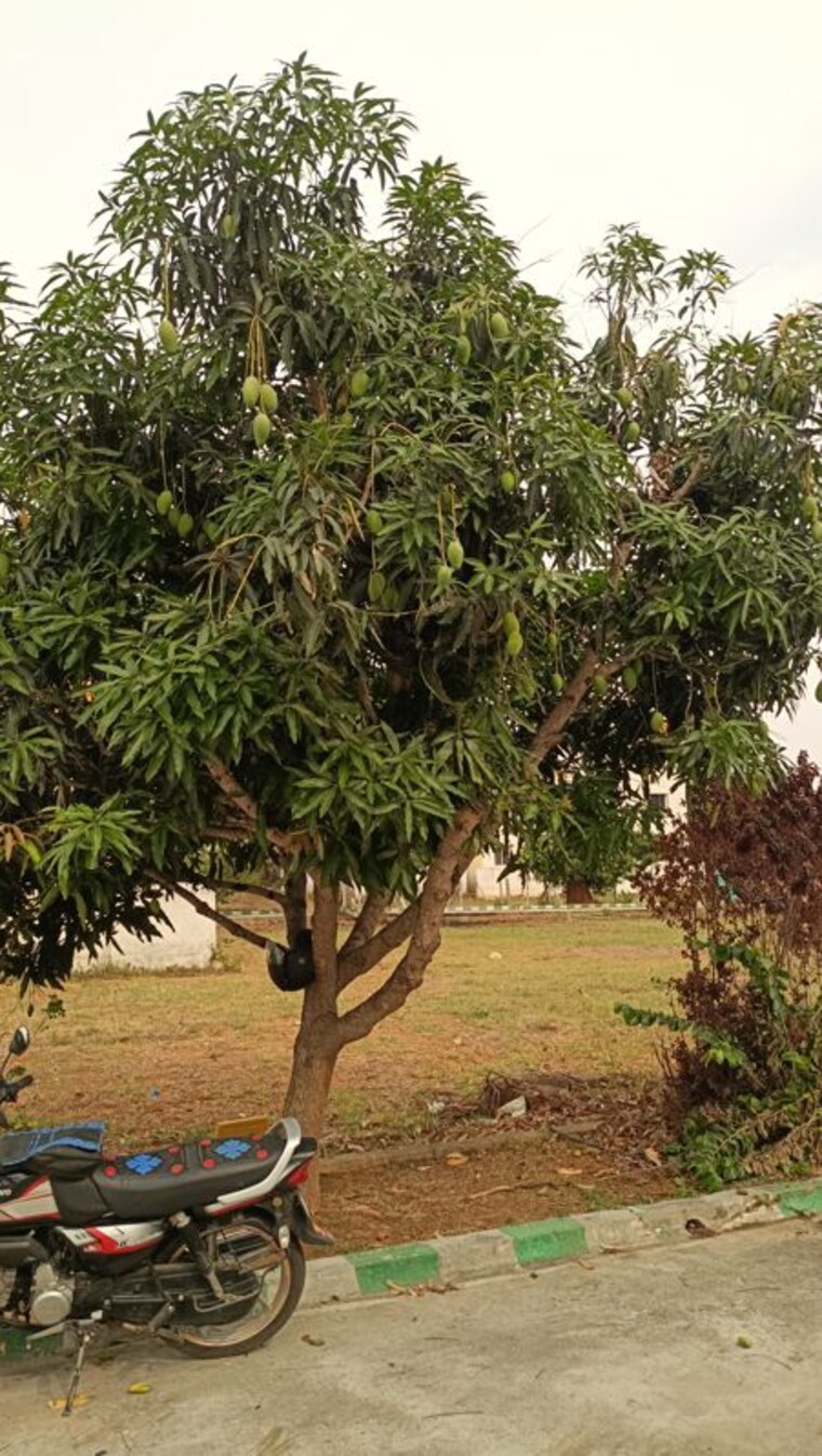 undefined, himagiri-prashanthi  1500 Sq.Ft. Plot In Jigani Bangalore 10235443