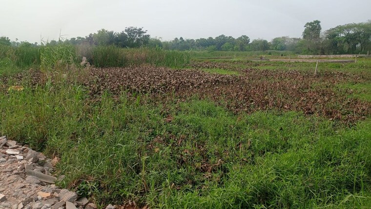 undefined, narendrapur  2160 Sq.Ft. Plot In Narendrapur Kolkata 10110470