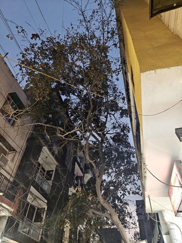 Garden, chattarpur  900 Sq.Ft. Plot In Chattarpur Delhi 10235499