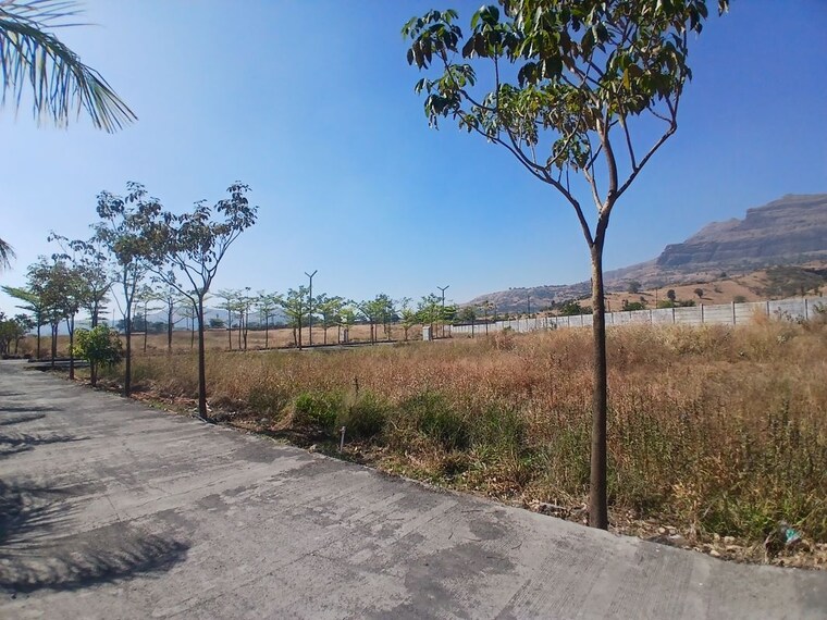 undefined, trimbak  130 Sq.Yd. Plot In Trimbak Nashik 10235604