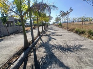  Plot – Exterior View View at Trimbak - for Sale