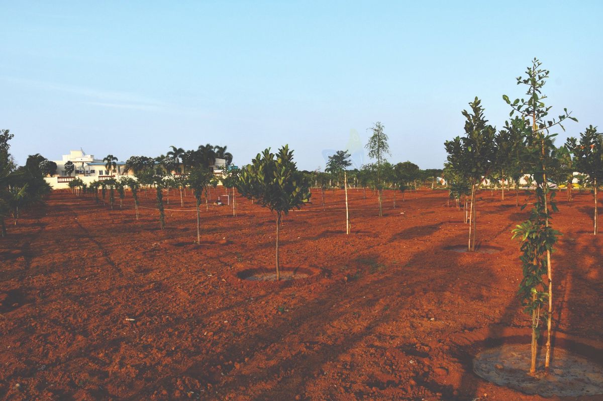 Plot For Sale in Fortune Elite Kadthal