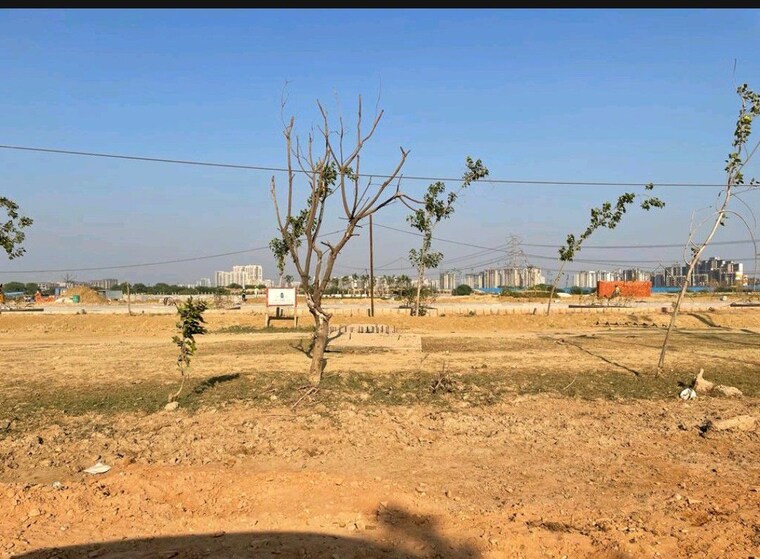 undefined, adani-oyster-greens  124 Sq.Yd. Plot In Sector 102 Gurgaon 10235734