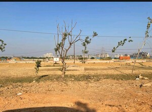 Plot Area in  Plot at Adani Oyster Greens, Sector 102 – for Sale