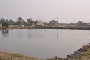   Plot at Nepalgange – for Sale