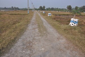 Plot Area in  Plot at Nepalgange – for Sale