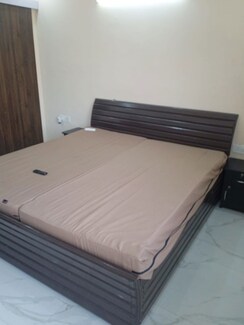 1 BHK Builder Floor For Rent in East Of Kailash
